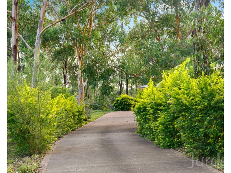 22 Grey Gum Drive, Weston NSW 2326