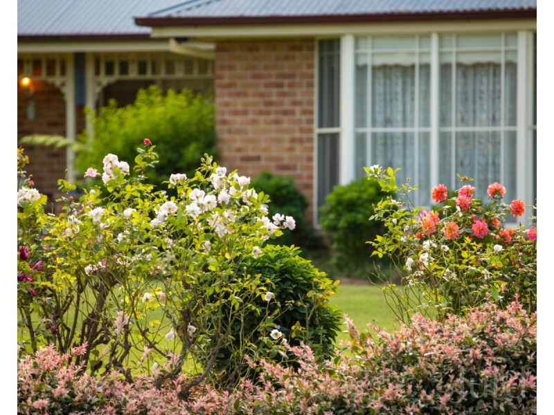 22 Grey Gum Drive, Weston NSW 2326