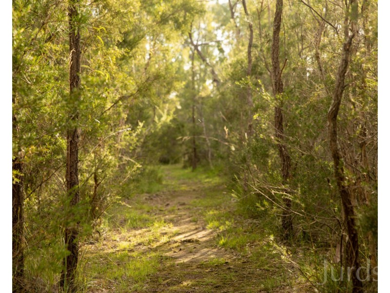22 Grey Gum Drive, Weston NSW 2326