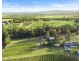 168 Palmers Lane, Pokolbin NSW 2320