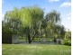 168 Palmers Lane, Pokolbin NSW 2320
