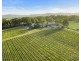 168 Palmers Lane, Pokolbin NSW 2320