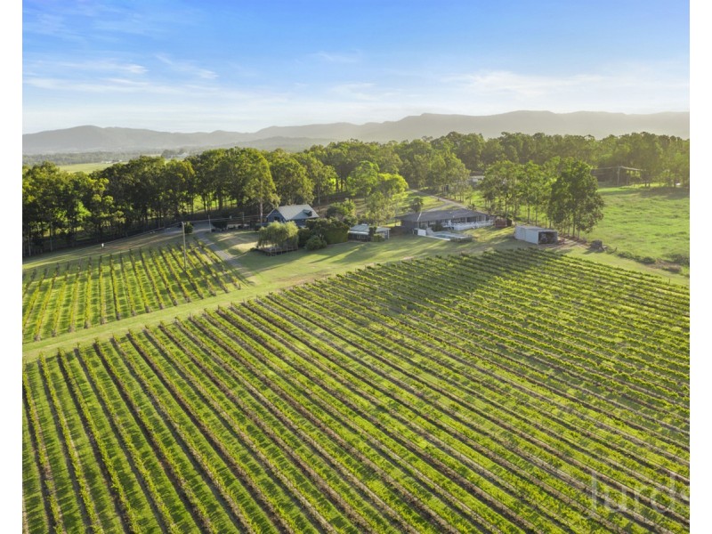 168 Palmers Lane, Pokolbin NSW 2320