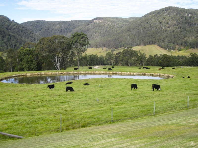 61/ Congewai Road, Congewai NSW 2325