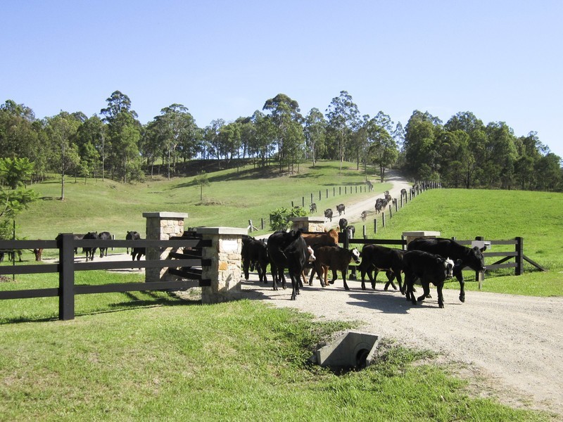 61/ Congewai Road, Congewai NSW 2325