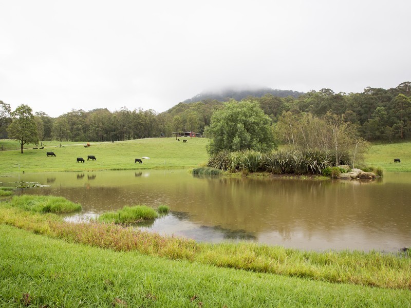 61/ Congewai Road, Congewai NSW 2325