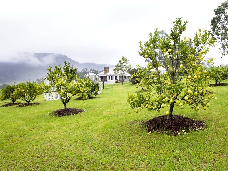 61/ Congewai Road, Congewai NSW 2325