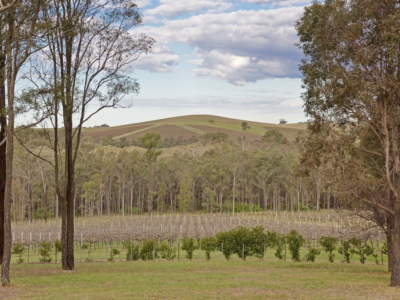 349 Deasys Road, Pokolbin NSW 2320