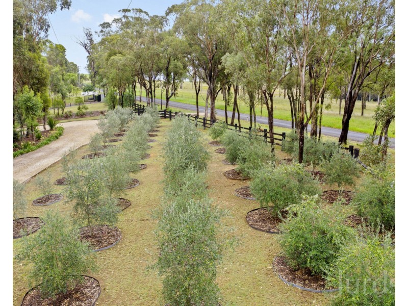 280 Old North Road, Pokolbin NSW 2320