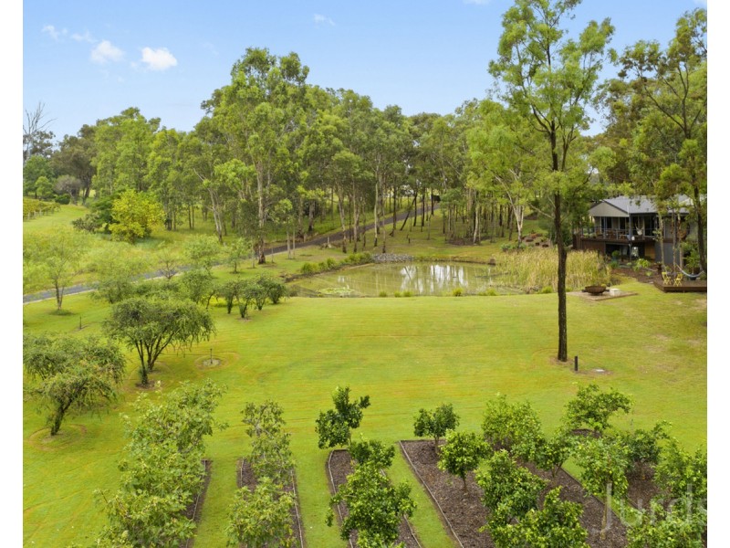 280 Old North Road, Pokolbin NSW 2320