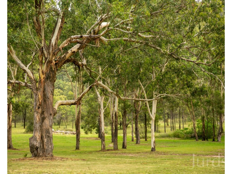 1000 Milbrodale Road, Broke NSW 2330