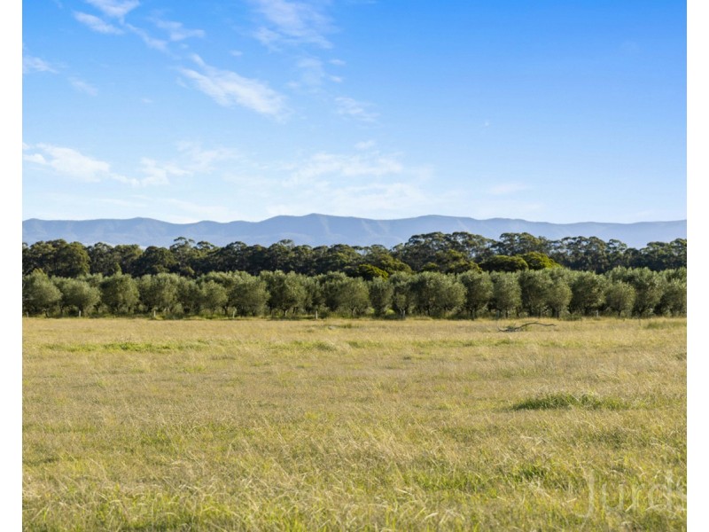 94 Majors Lane, Keinbah NSW 2320