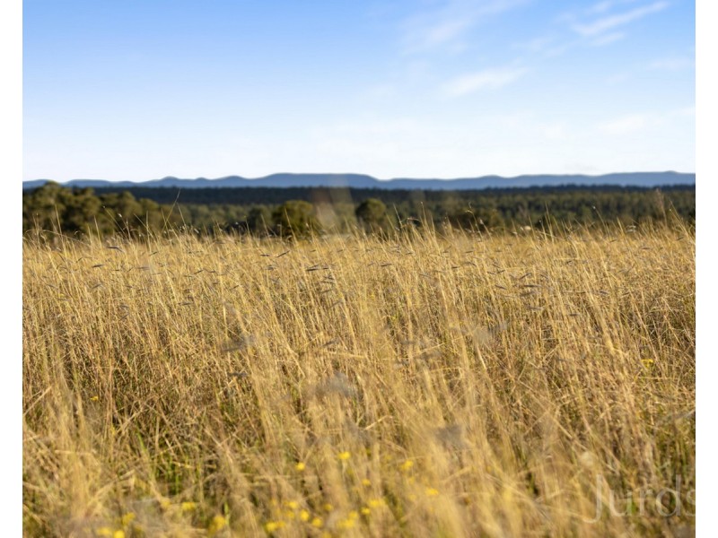 94 Majors Lane, Keinbah NSW 2320