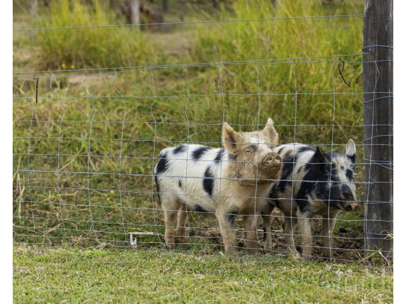 121 Kelman Street, Lower Belford NSW 2335