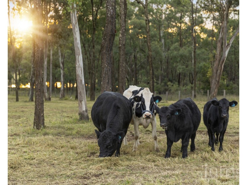 121 Kelman Street, Lower Belford NSW 2335