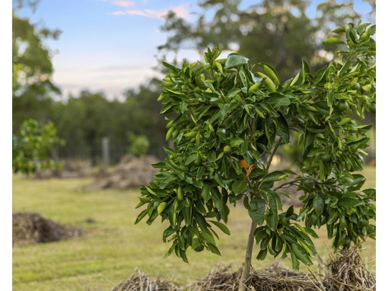 121 Kelman Street, Lower Belford NSW 2335