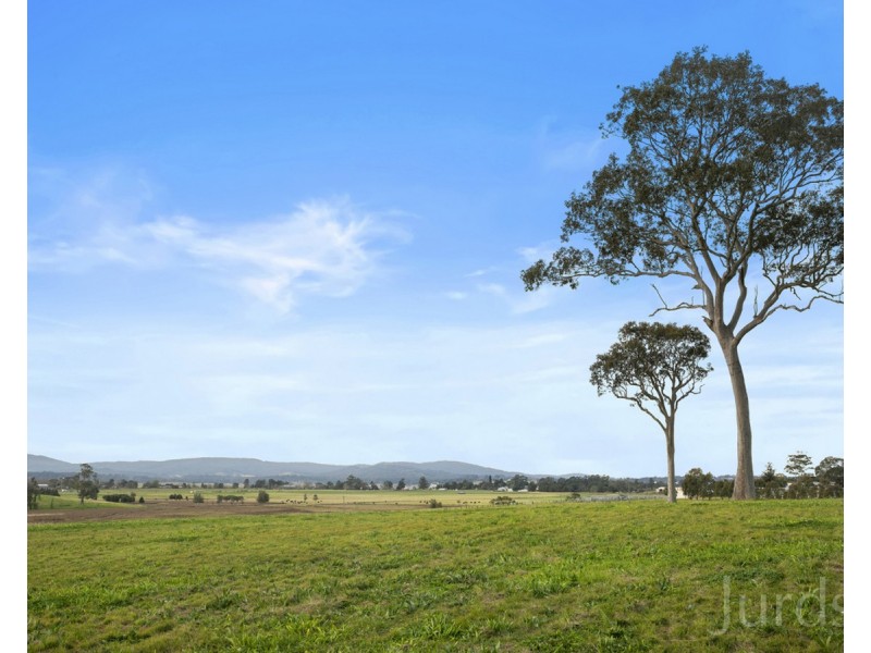 252 Tocal Road, Bolwarra Heights NSW 2320