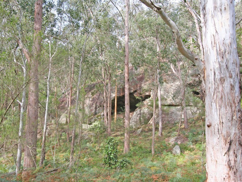 136 Blackwattle Track, Laguna NSW 2325