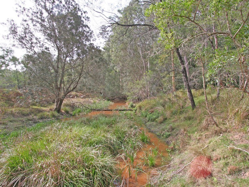 136 Blackwattle Track, Laguna NSW 2325