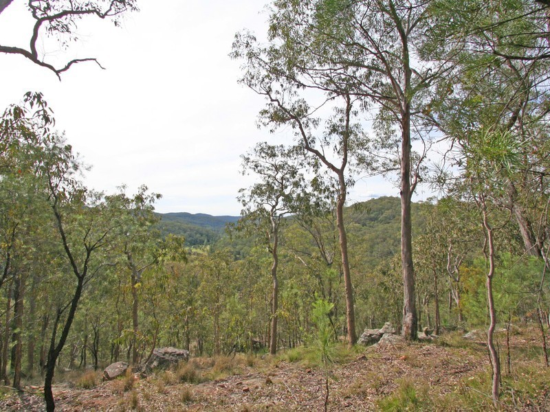 136 Blackwattle Track, Laguna NSW 2325