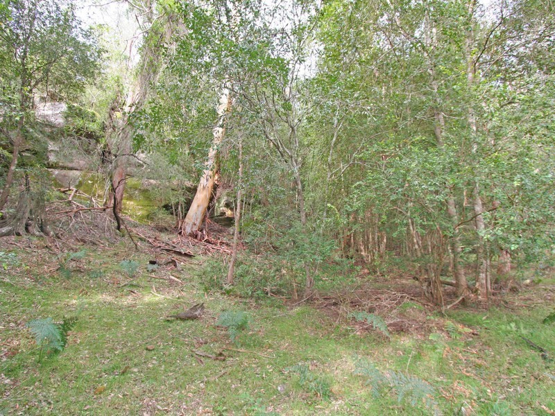 136 Blackwattle Track, Laguna NSW 2325