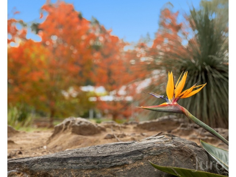 107 Abernethy Street, Kitchener NSW 2325