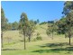 60 Talga Road, Lovedale NSW 2325