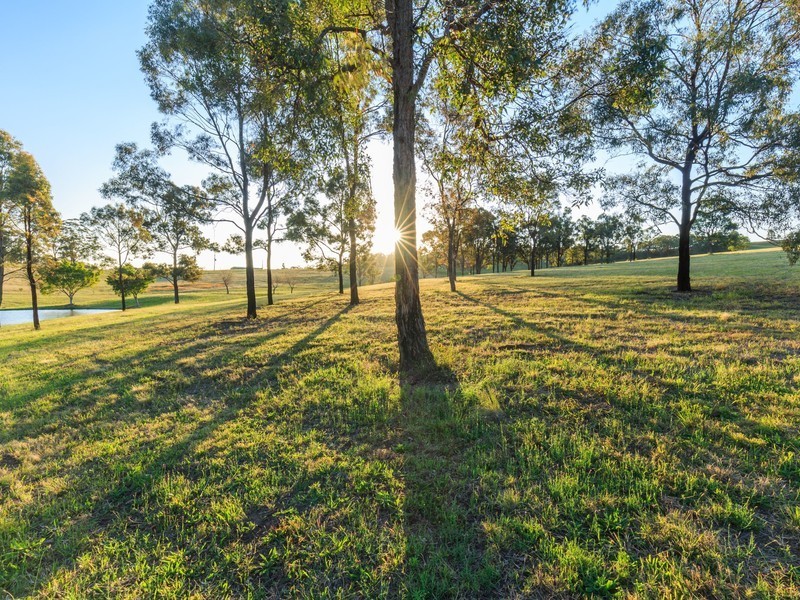 60 Talga Road, Lovedale NSW 2325