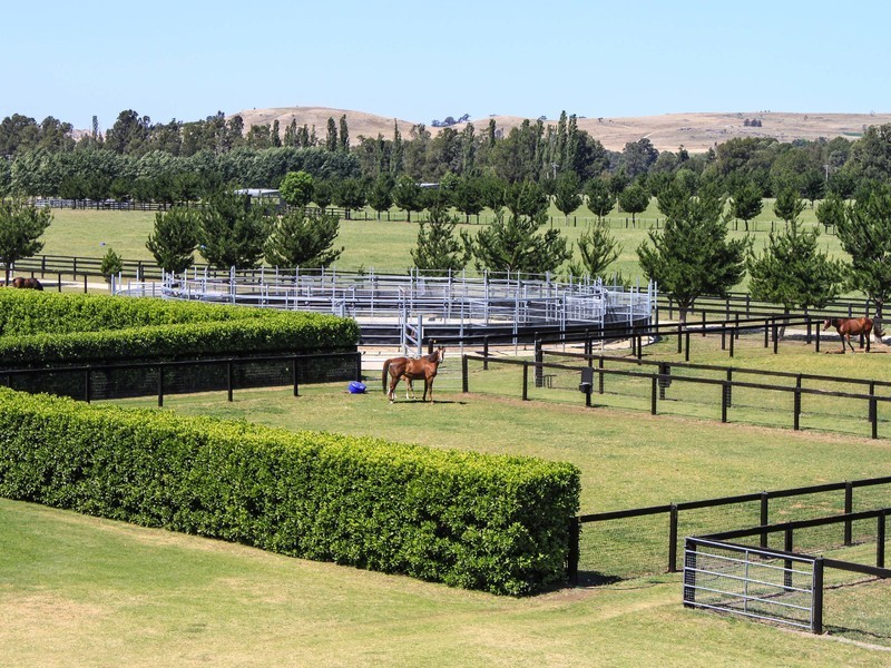 2401 Putty Road, Broke NSW 2330