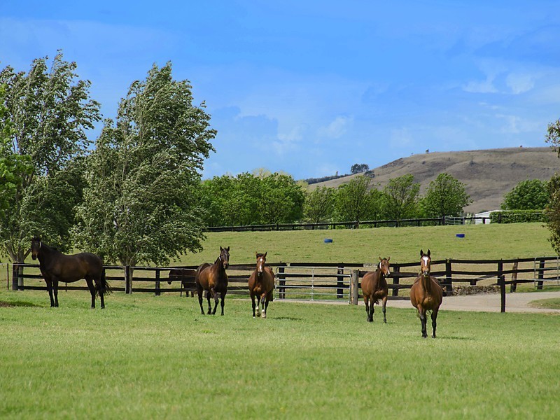 2401 Putty Road, Broke NSW 2330