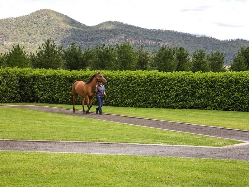 2401 Putty Road, Broke NSW 2330