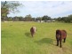 7 Jeffries Street, Kearsley NSW 2325