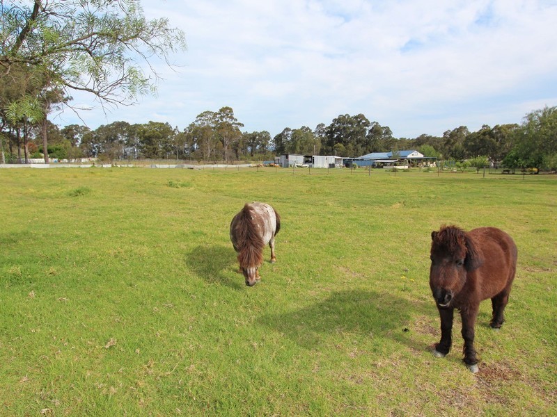 7 Jeffries Street, Kearsley NSW 2325