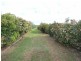 7 Jeffries Street, Kearsley NSW 2325