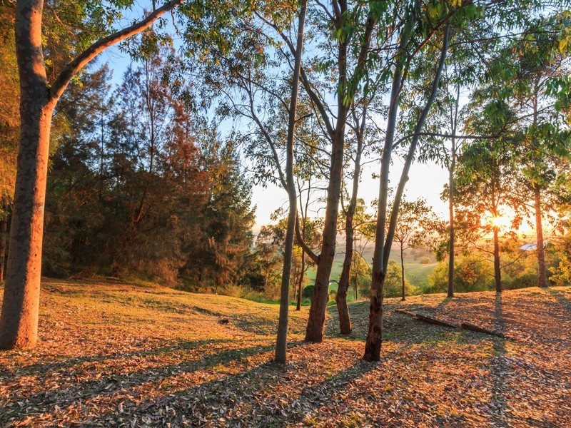 839 Mount View Road, Mount View NSW 2325