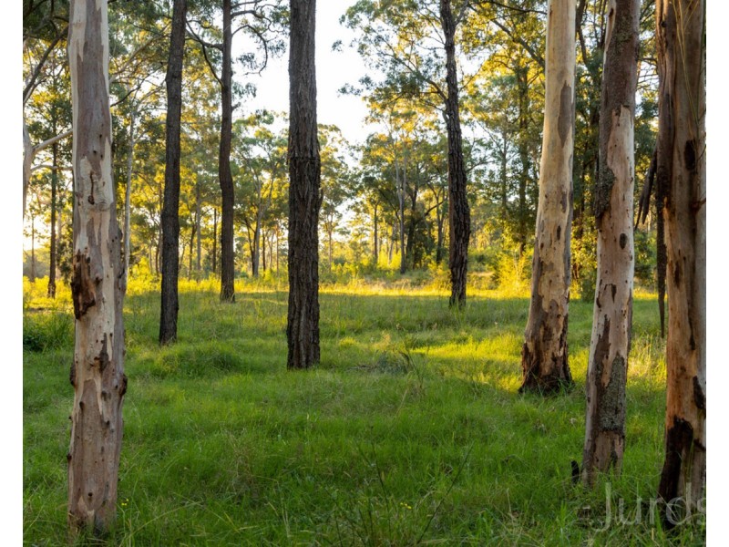 425 Lake Road, Elrington NSW 2325