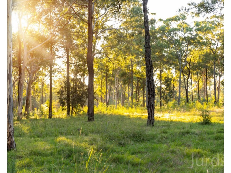 425 Lake Road, Elrington NSW 2325