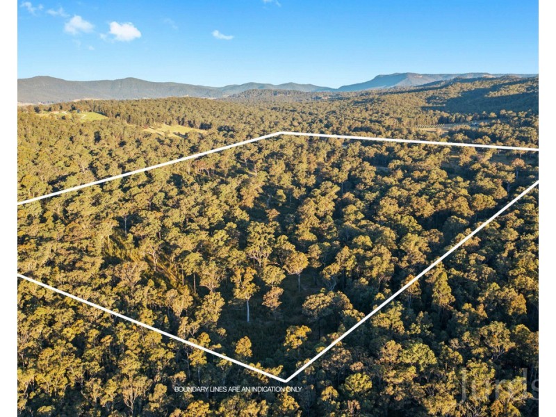 425 Lake Road, Elrington NSW 2325