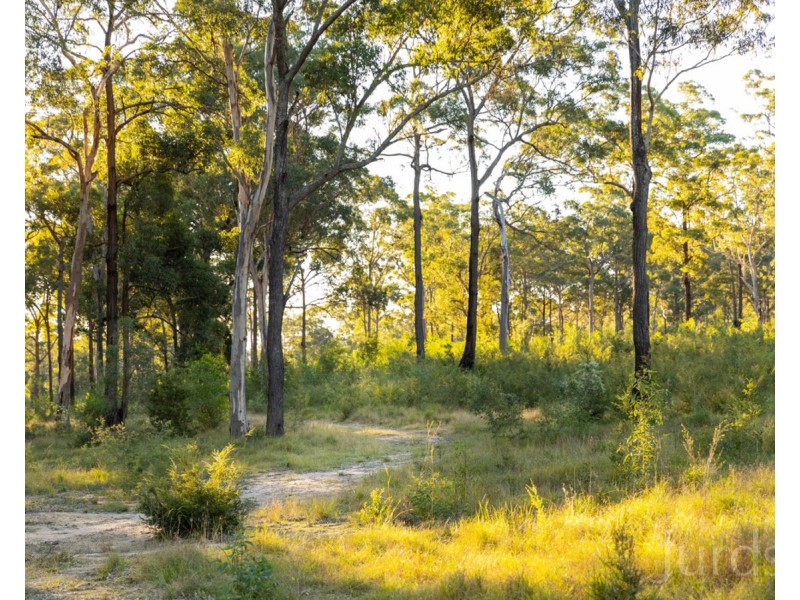 425 Lake Road, Elrington NSW 2325