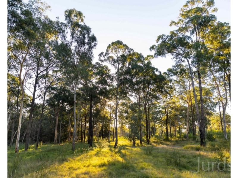 425 Lake Road, Elrington NSW 2325