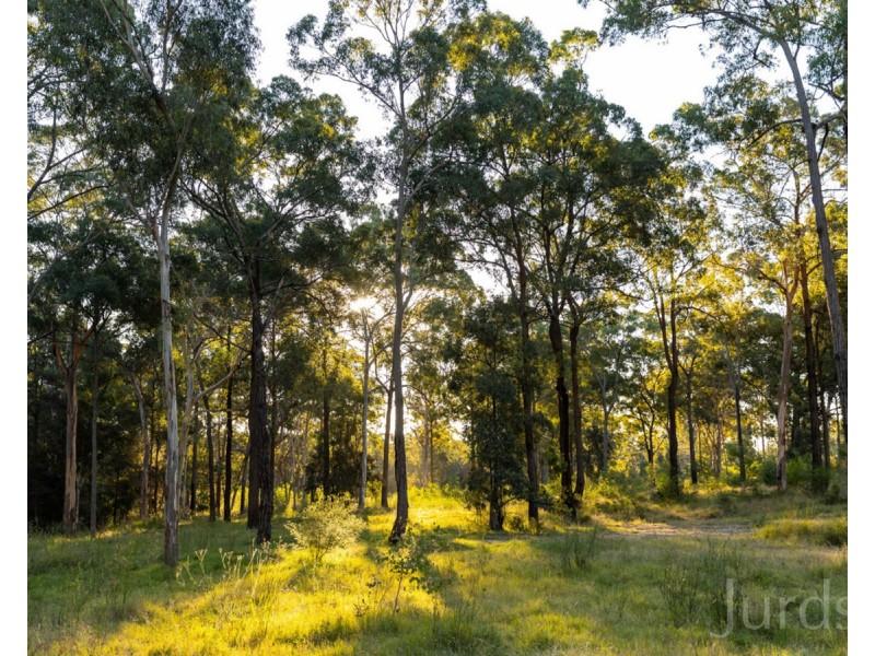 425 Lake Road, Elrington NSW 2325