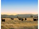 Lot 11 De Beyer’s Road, Pokolbin NSW 2320