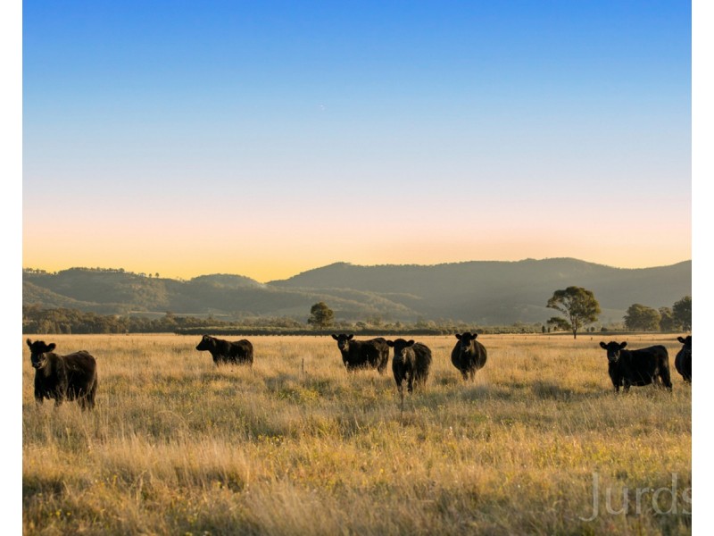 Lot 11 De Beyer’s Road, Pokolbin NSW 2320