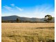 Lot 11 De Beyer’s Road, Pokolbin NSW 2320
