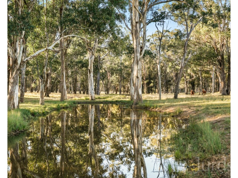 Lot 11 De Beyer’s Road, Pokolbin NSW 2320