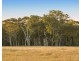 Lot 11 De Beyer’s Road, Pokolbin NSW 2320