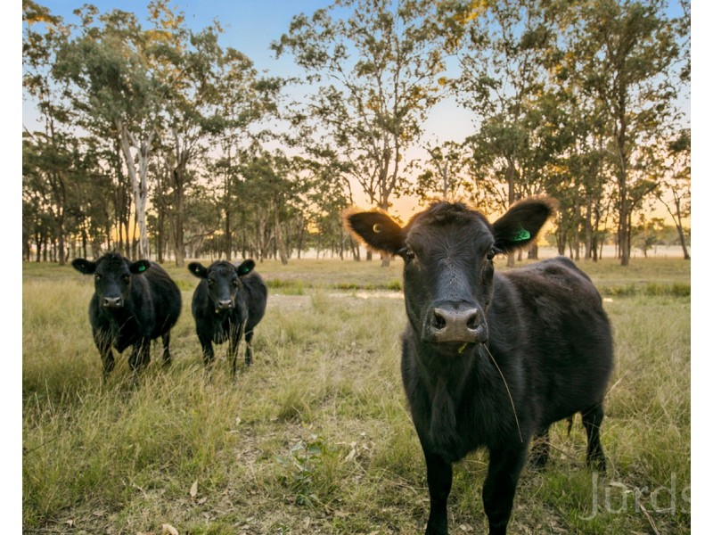 Lot 11 De Beyer’s Road, Pokolbin NSW 2320