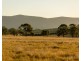 Lot 11 De Beyer’s Road, Pokolbin NSW 2320