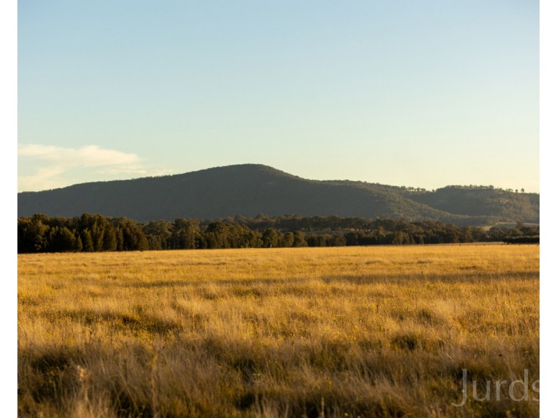 Lot 11 De Beyer’s Road, Pokolbin NSW 2320