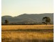 Lot 11 De Beyer’s Road, Pokolbin NSW 2320